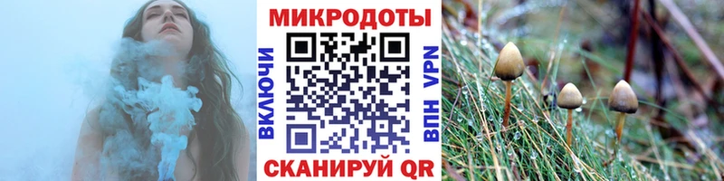 MEGA   Дмитровск  Псилоцибиновые грибы MAGIC MUSHROOMS 